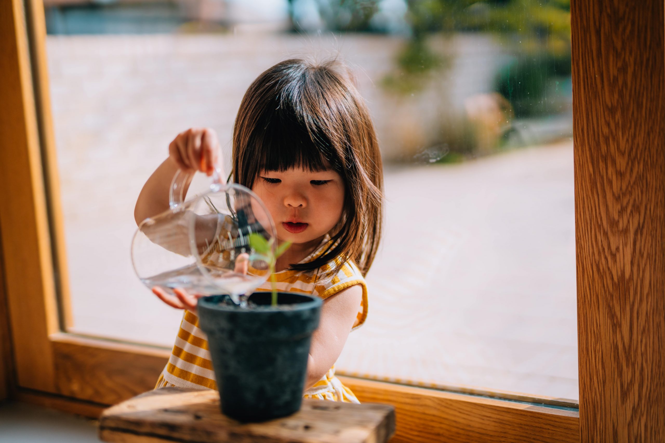 Young girl watering a seed in a pot sat in a window